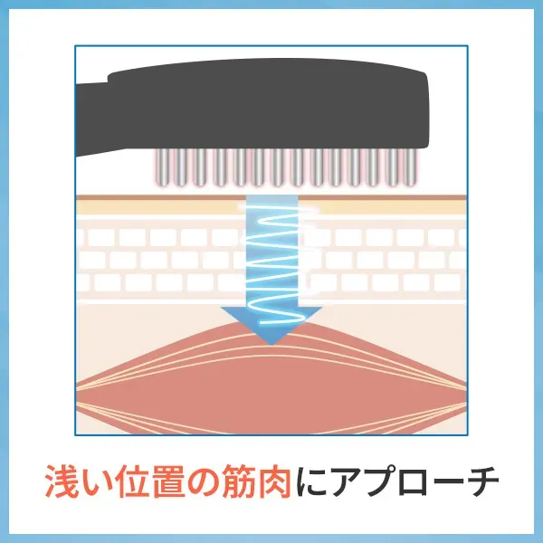 低周波EMSは浅い位置の筋肉にアプローチ
