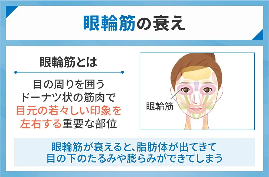 眼輪筋の衰え