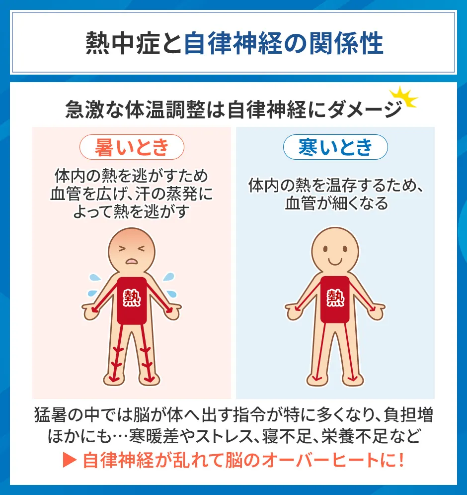 熱中症と自律神経の関係性