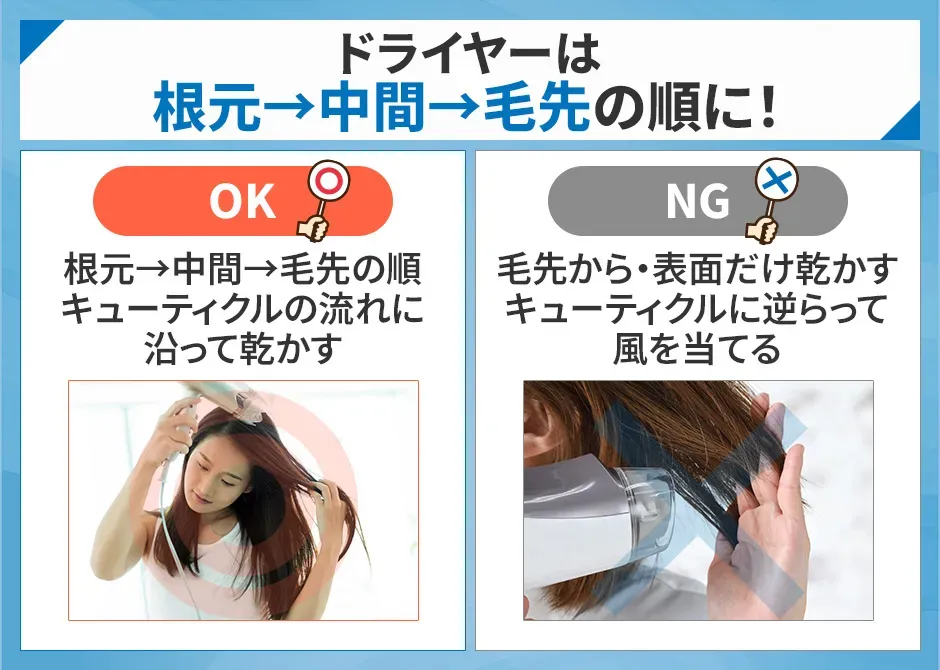 ドライヤーは根本から中間毛先の順番に行う