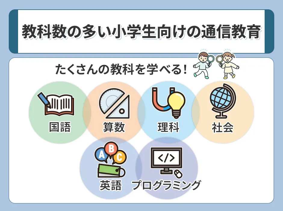 教科数の多い小学生向けの通信教育