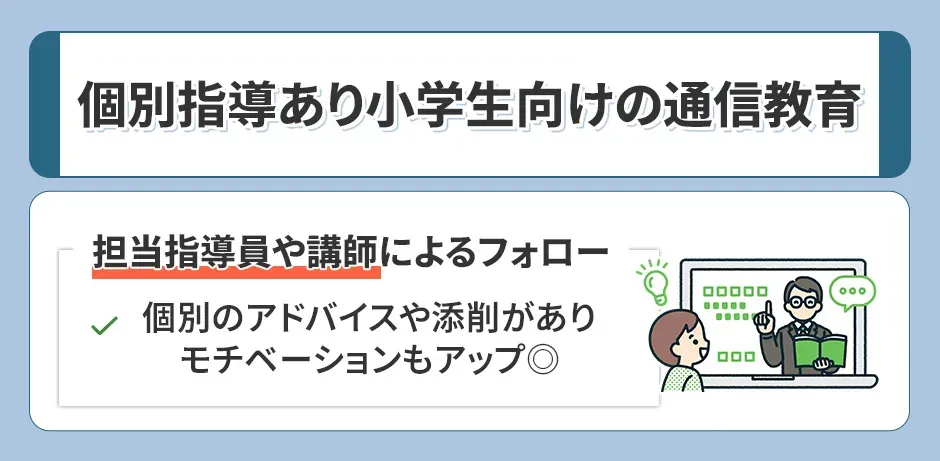 個別指導ありの小学生向けの通信教育