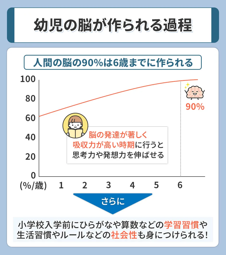 幼児の脳が作られる過程