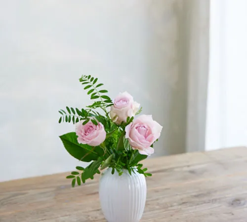 レギュラーコースSSでは、丈20～25cm程度で飾りやすいサイズ感の花が届きます