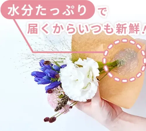鮮度を保ったまま届けるため、水分や梱包ボックスの通気性を工夫しています