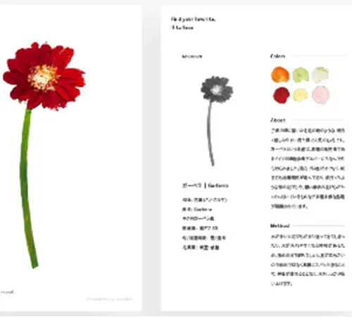 届いた花のお手入れ方法が記されたカードが同封され、初心者にも優しい仕様です