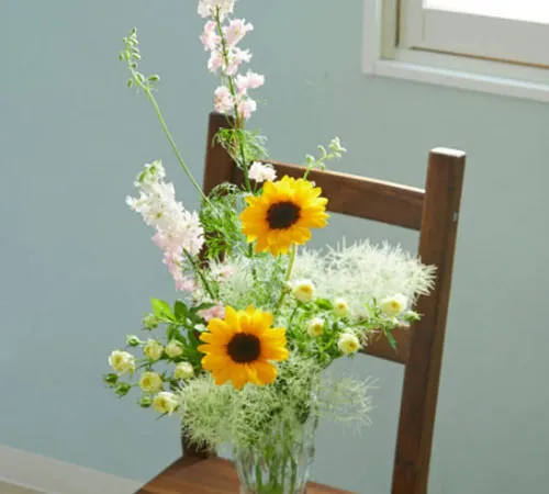 初めての人には季節の花・観葉植物をセットにしたスタータープランが◯