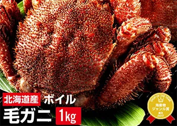越前かに問屋ますよねのカニ、北海道産 茹で毛蟹大サイズ×2尾セット（1kg）