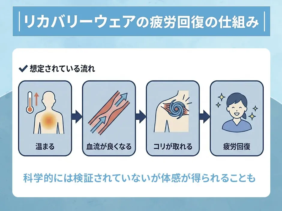 リカバリーウェアで疲労回復が期待される仕組み