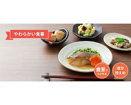 食宅便やわらかい食事