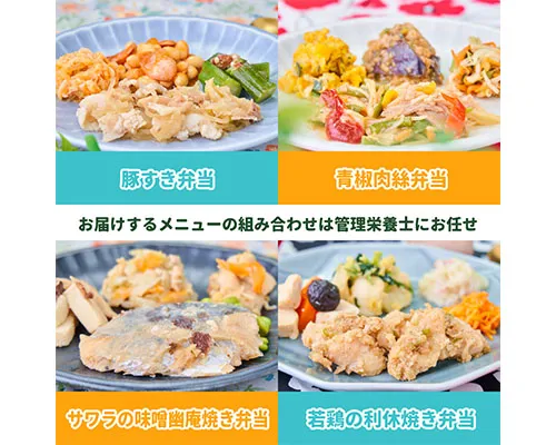 まごころケア塩分制限食