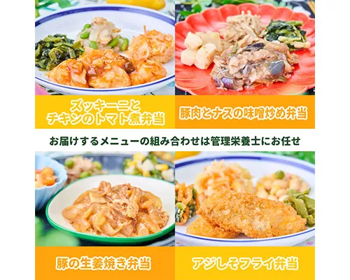 まごころケアたんぱく調整食