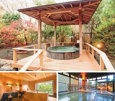 花ごころの湯 新富亭