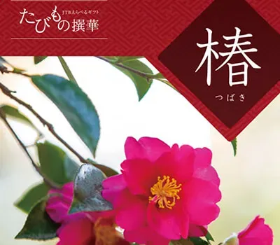 たびもの撰華 椿