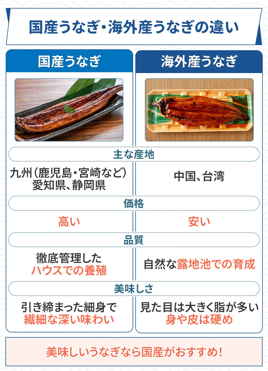 国産うなぎと海外産うなぎの違い
