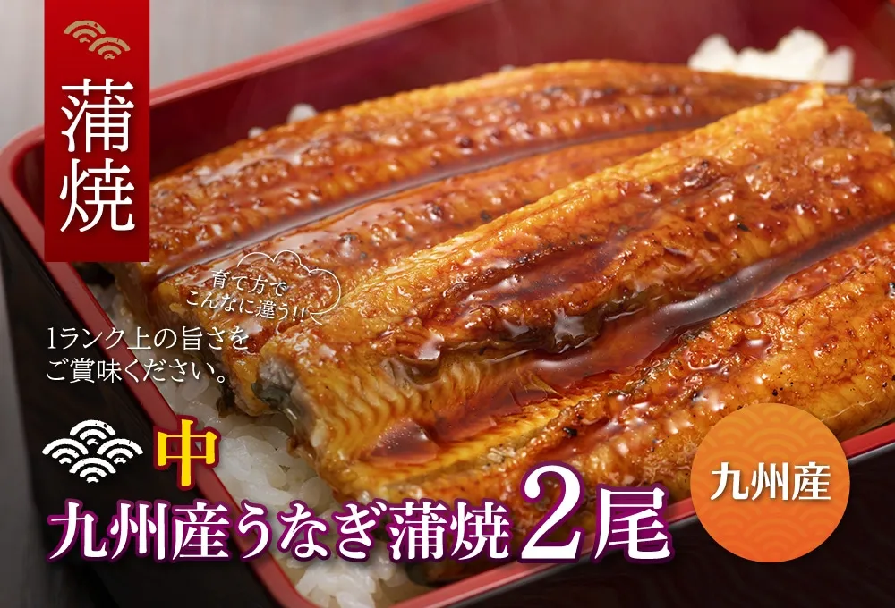 厳選うなぎ蒲焼
