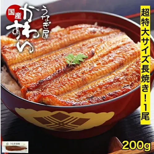 超特大国産うなぎ蒲焼き