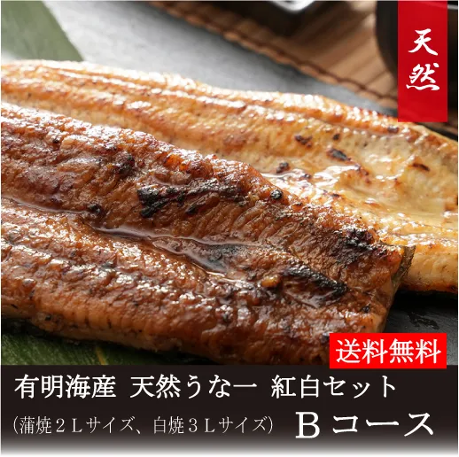 有明海産天然うな一　紅白セットb