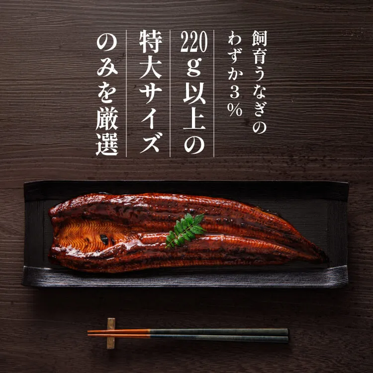3種お楽しみセット