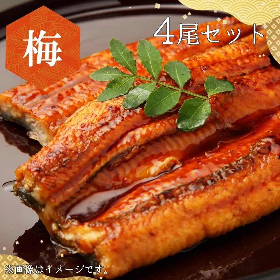 4尾セット
