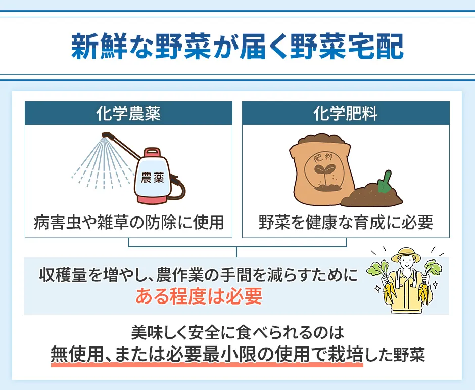新鮮な野菜が届く野菜宅配